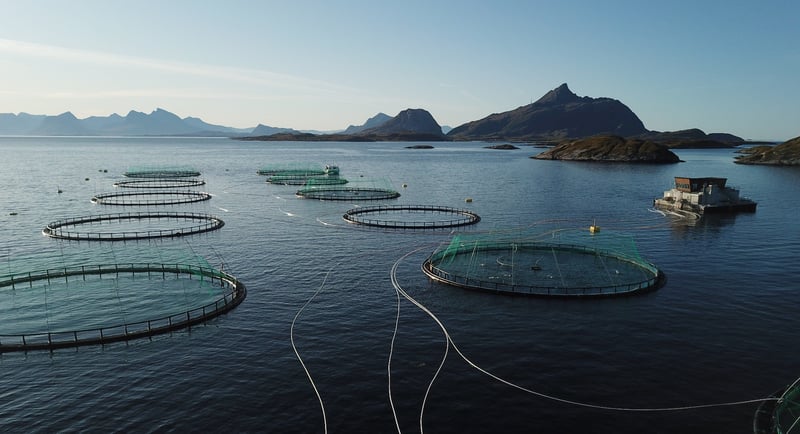 Kvarøy-Farm-customer-story